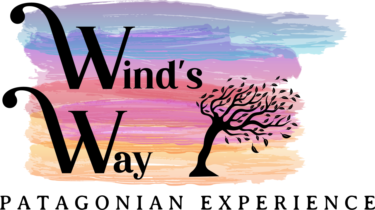 WIND´S WAY patagonian experience